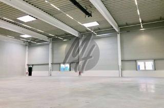 Büro zu mieten in 64319 Pfungstadt, TOP-AUSSTATTUNG ✓ Lager (1.100 m²) & Büro (300 m²) zu vermieten