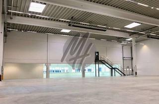 Büro zu mieten in 64625 Bensheim, TOP-AUSSTATTUNG ✓ Lager (800 m²) & Büro (200 m²) zu vermieten