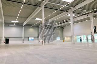 Büro zu mieten in 68519 Viernheim, TOP-AUSSTATTUNG ✓ Lager (500 m²) & Büro (100 m²) zu vermieten