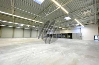 Büro zu mieten in 63128 Dietzenbach, KEINE PROVISION ✓ RAMPE + EBEN ✓ Lagerflächen (470 m²) & Büroflächen (250 m²) zu vermieten