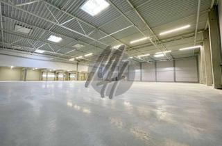Büro zu mieten in 63150 Heusenstamm, KEINE PROVISION ✓ RAMPE + EBEN ✓ Lagerflächen (470 m²) & Büroflächen (250 m²) zu vermieten