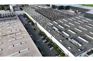 Büro zu mieten in 59302 Oelde, Lager- u. Produktionshalle mit Büro- und Sozialräumen im Gewerbegebiet von Oelde