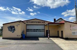 Büro zu mieten in Landwehrstraße 20, 97249 Eisingen, KFZ Werkstatt / Autoverwertung / Vielseitig nutzbare Gewerbehalle mit Büroflächen