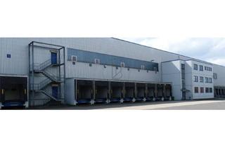 Gewerbeimmobilie mieten in 55459 Grolsheim, "BAUMÜLLER AG" - ca. 10.000 m² Hallenfläche - PROVISIONSFREI