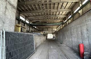 Gewerbeimmobilie kaufen in 38871 Ilsenburg, Industriehalle in Ilsenburg - zur Miete oder zum Kauf verfügbar