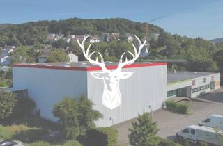 Gewerbeimmobilie mieten in 79761 Waldshut-Tiengen, Flexible Lager- und Werkflächen in zentraler Lage von Tiengen zu vermieten