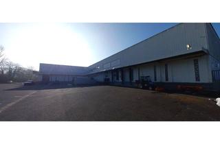 Büro zu mieten in 34576 Homberg, —— Lager-, Hallen-, Logistikflächen mit Büro- und Außenflächen zu vermieten ++++