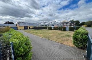 Gewerbeimmobilie kaufen in 45711 Datteln, Werkstatt-/Lagerhalle im Gewerbegebiet Sutumer Bruch