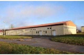 Gewerbeimmobilie kaufen in Gebäude 32, 17153 Stavenhagen, Preisreduzierung ! Lager- und Bürogebäude sowie freie Fläche für Gewerbe, Solar, neue Halle