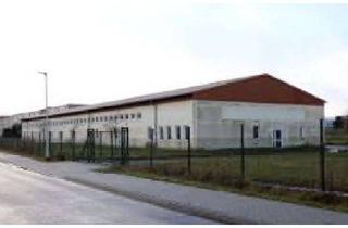 Gewerbeimmobilie kaufen in Gebäude 32, 17153 Stavenhagen, Preisreduzierung ! Lager- und Bürogebäude sowie freie Fläche für Gewerbe, Solar, neue Halle