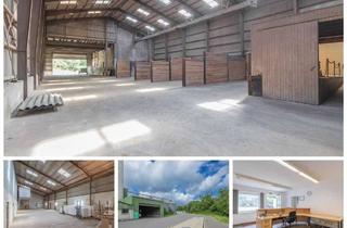 Gewerbeimmobilie mieten in 24885 Sieverstedt, Große Lagerhalle zwischen Flensburg und Schleswig / nahe B77 und A7