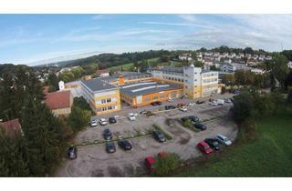 Gewerbeimmobilie mieten in 73770 Denkendorf, Produktions- und Lagerfläche