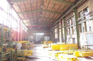 Gewerbeimmobilie mieten in 67227 Frankenthal, preisgünstige Hallenflächen gute Zufahrt auch für große LKW - HR 3638