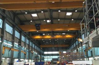 Gewerbeimmobilie mieten in 67227 Frankenthal, Produktionshalle mit Kranbahn und Brückenkrähnen - HR 3869/3