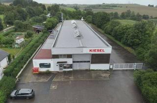 Gewerbeimmobilie kaufen in Wiesentalstr., 89129 Langenau, Werks,-Lagerhalle mit Büro und Sozialräumen