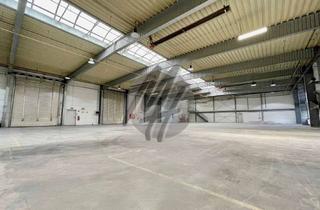 Büro zu mieten in 63322 Rödermark, SCHNELL VERFÜGBAR ✓ RAMPE + EBEN ✓ Lager (2.700 m²) & Büro (150 m²)