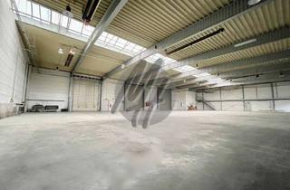 Büro zu mieten in 64859 Eppertshausen, SCHNELL VERFÜGBAR ✓ RAMPE + EBEN ✓ Lager (2.700 m²) & Büro (150 m²)