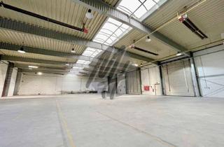 Büro zu mieten in 64807 Dieburg, SCHNELL VERFÜGBAR ✓ RAMPE + EBEN ✓ Lager (2.700 m²) & Büro (150 m²)