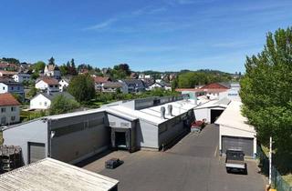Gewerbeimmobilie kaufen in 35075 Gladenbach, Gewerbeobjekt mit Kranhalle und Rampen in Ortslage