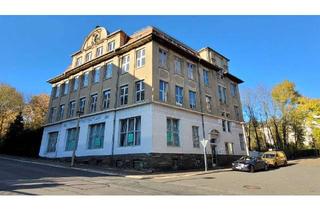 Gewerbeimmobilie kaufen in 08523 Hammervorstadt, Schulungszentrum in zentraler Lage!