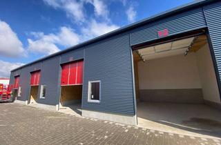 Gewerbeimmobilie mieten in 74921 Helmstadt-Bargen, Halle - Großgarage - Gewerbehalle - Lager - Boot - Oldtimer - Werkstatt - Platz für Ihre Ideen