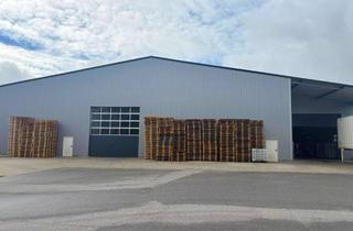 Gewerbeimmobilie mieten in 93354 Siegenburg, Lagerhalle, Lagerfläche zu vermieten in Siegenburg ca. 1212m³