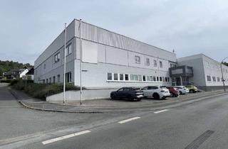 Gewerbeimmobilie kaufen in 59759 Arnsberg, Arnsberg-Bruchhausen: Gewerbeimmobilie mit rund 1.700m² Gesamtfläche auf zwei Etagen