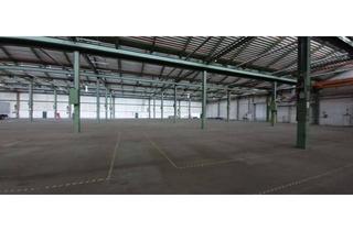 Gewerbeimmobilie mieten in 34576 Homberg, —— Sofort verfügbar ++++ Logistik-/Lager-/Produktionsfläche zu vermieten