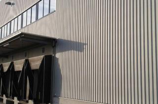 Gewerbeimmobilie mieten in 34560 Fritzlar, ++++ Sofort verfügbar –Logistik-/Hallen-/Produktionsfläche/n zu vermieten – Fritzlar Süd ++++