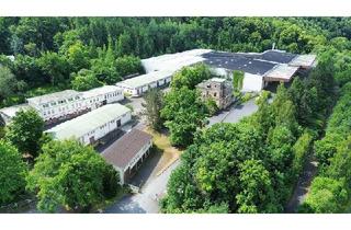 Gewerbeimmobilie mieten in 01809 Müglitztal, Nahe Autobahnauffahrt A17 | ca. 1.857 m² Hallenfläche nahe Dresden zur Miete