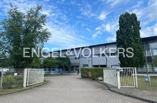 Gewerbeimmobilie mieten in 21502 Geesthacht, Vielseitiges Logistikobjekt in Geesthacht