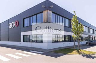 Gewerbeimmobilie mieten in 74343 Sachsenheim, Segro Park Sachsenheim - Unit 1