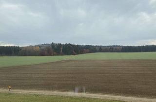 Büro zu mieten in 82234 Weßling, Nähe Wessling: Ca. 1200 m² teilbare Büro-,Lager- und Produktionsflächen