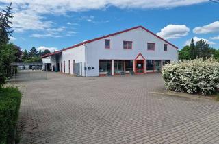 Büro zu mieten in Ahornstr., 14959 Trebbin, Lagerhalle / Ausstellung / Büro / Wohnen / Glasfaser / Parkplätze