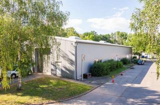 Büro zu mieten in Am Gewerbepark, 12683 Biesdorf, Flexible Lagerhalle mit Mezzanine Fläche, WC, Küche & Büro | provisionsfrei