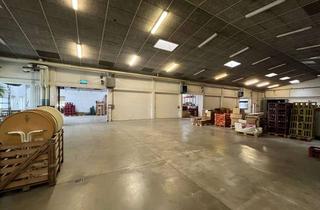 Gewerbeimmobilie mieten in 74246 Eberstadt, Vielseitige Lagerhalle