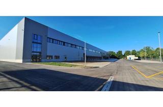 Gewerbeimmobilie mieten in 27211 Bassum, Hochmoderne Neubauhalle in Bassum (WGK-III fähig)