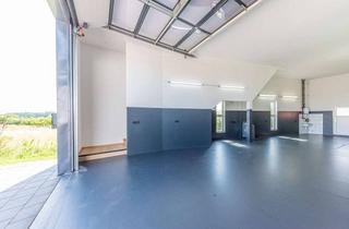Büro zu mieten in 85307 Paunzhausen, Zu vermieten! Moderne Halle/ Werkstatt mit Büro und Lager