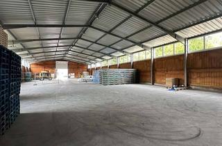 Gewerbeimmobilie mieten in Industriestraße 11, 78333 Stockach, Gewerbehalle mit befestigter Außenfläche zu vermieten!