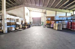 Büro zu mieten in 31191 Algermissen, Algermissen: Lagerhalle (teilbar) mit Bürotrakt in verkehrsgünstiger Lage zu vermieten