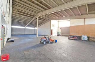 Büro zu mieten in 31191 Algermissen, Algermissen: Lagerhalle (teilbar) mit Bürotrakt in verkehrsgünstiger Lage zu vermieten