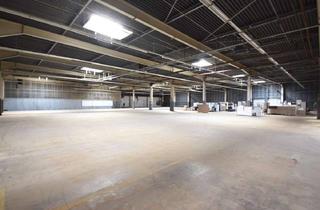 Gewerbeimmobilie mieten in 63820 Elsenfeld, DIETZ: Provisionsfrei 4,- VHB pro qm - Niedrige Nebenkosten! Logistikhalle mit 800 kVA Stromanschl.