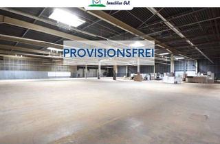 Gewerbeimmobilie mieten in 63820 Elsenfeld, DIETZ: Provisionsfrei 4,- VHB pro qm - Niedrige Nebenkosten! Logistikhalle mit 800 kVA Stromanschl.