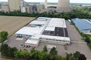 Anlageobjekt in 32469 Petershagen, 240 EUR/m² - Großzügiges Gewerbeanwesen bei Minden