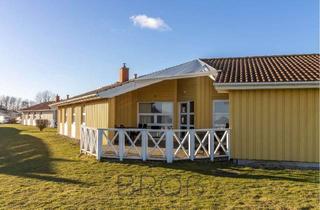 Anlageobjekt in 24398 Brodersby, Schönhagen: Renditestarkes Ferienhaus mit 6 Schlafzimmern und saniertem Pool- und Wellnessbereich