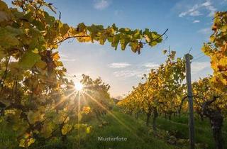 Anlageobjekt in Alter Rathausplatz xxxx, 55578 Wallertheim, Landwirtschaftliches Gehöft (Weingut)