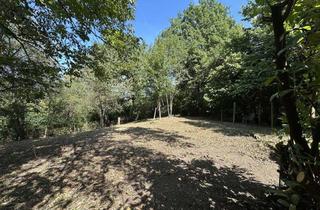 Grundstück zu kaufen in 73734 Esslingen, Frisch gerodetes Gartengrundstück mit Freizeithütte