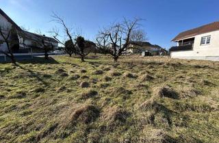 Grundstück zu kaufen in 64853 Otzberg, Jetzt zugreifen – Grundstück mit Blick ins Grüne und perfekter Anbindung!