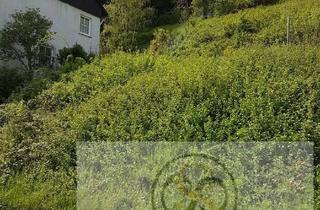 Grundstück zu kaufen in 65391 Lorch, Bieterverfahren: Baugrundstück mit Baugenehmigung und Waldgrundstück in Lorch am Rhein