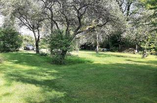 Grundstück zu kaufen in 90562 Kalchreuth, RARITÄT!! Parkähnliches Wochenendgrundstück, am Waldrand nähe Kalchreuth, Stettenberg zu verkaufen !